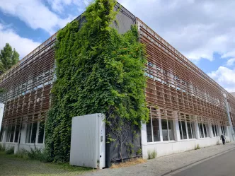 schoolgebouw met een houten gevelbekleding (raster) waarbij de hoek afgewerkt werd met klimplanten